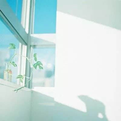 皇冠新体育手机app下载