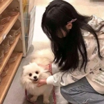 爱游戏全站app官网入口详解