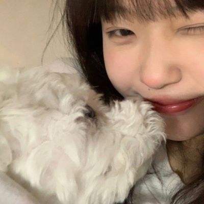 开yun体育官网入口登录苹果